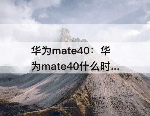 华为mate40：华为mate40什么时候发布