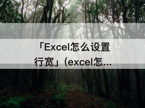 「Excel怎么设置行宽」(excel怎么设置行宽行高)