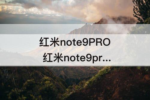 红米note9PRO 红米note9pro多少W