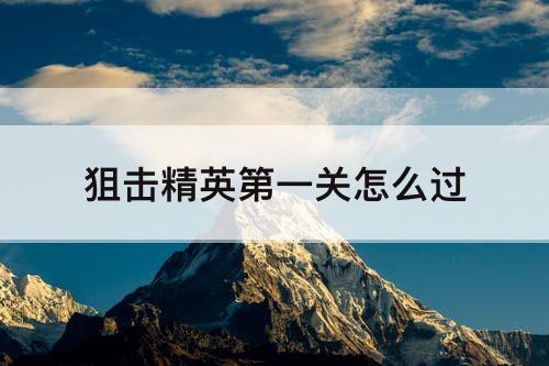 狙击精英第一关怎么过