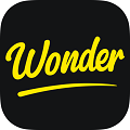 百度Wonder