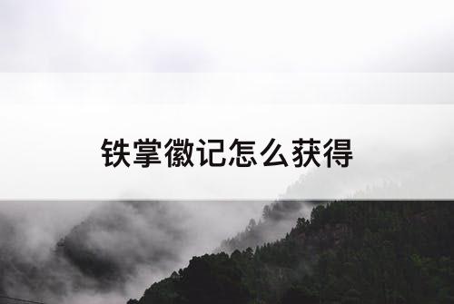 铁掌徽记怎么获得