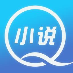 Q小说