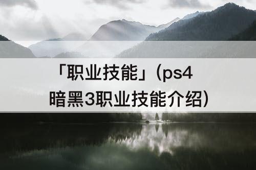 「职业技能」(ps4暗黑3职业技能介绍)