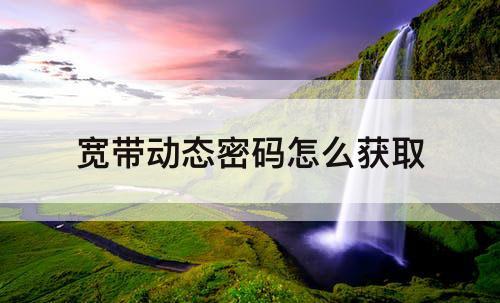 宽带动态密码怎么获取