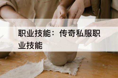 职业技能：传奇私服职业技能