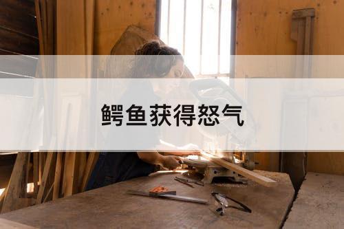 鳄鱼获得怒气