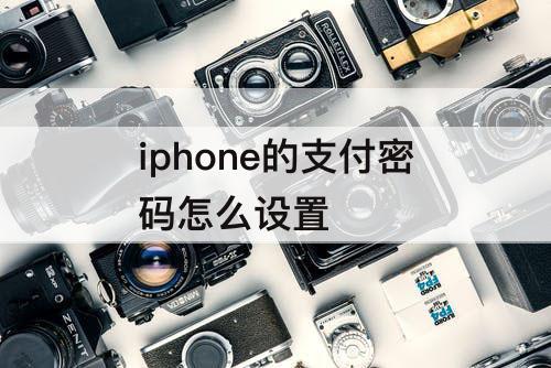 iphone的支付密码怎么设置