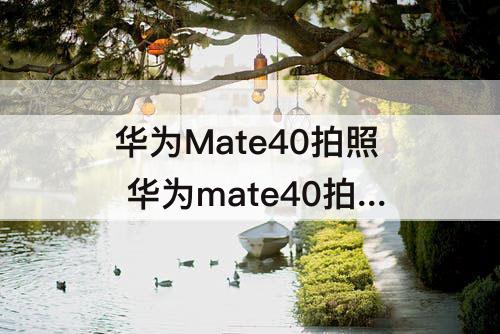 华为Mate40拍照 华为mate40拍照不如P40