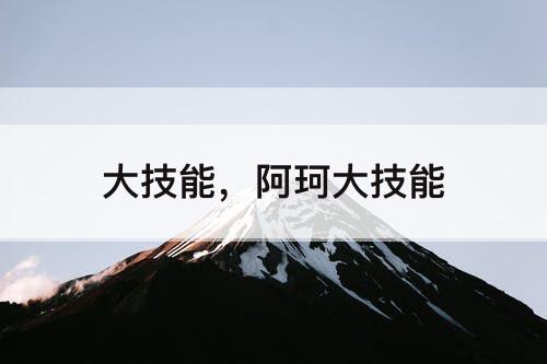 大技能，阿珂大技能