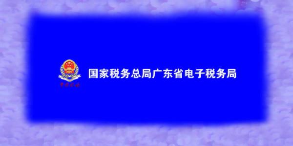 广东税务