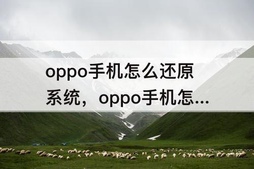 oppo手机怎么还原系统，oppo手机怎么还原系统软件