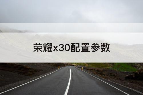 荣耀x30配置参数