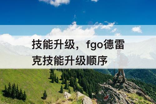 技能升级，fgo德雷克技能升级顺序