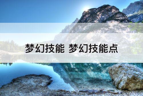 梦幻技能 梦幻技能点