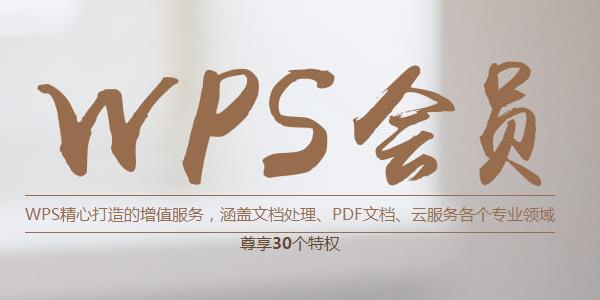 wps会员账号共享器