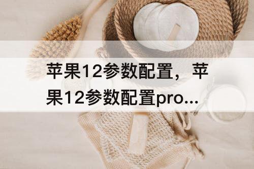 苹果12参数配置，苹果12参数配置pro max 128g