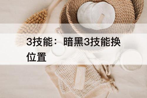 3技能：暗黑3技能换位置