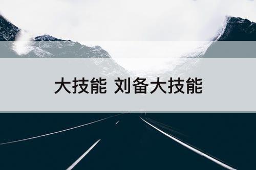 大技能 刘备大技能