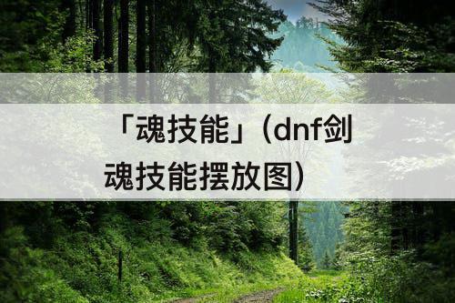 「魂技能」(dnf剑魂技能摆放图)