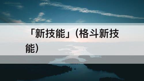 「新技能」(格斗新技能)