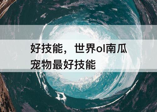 好技能，世界ol南瓜宠物最好技能