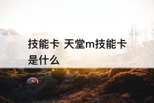 技能卡 天堂m技能卡是什么