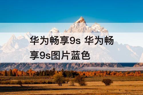 华为畅享9s 华为畅享9s图片蓝色