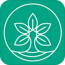 比茶大陆