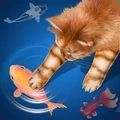 给猫玩的ipad