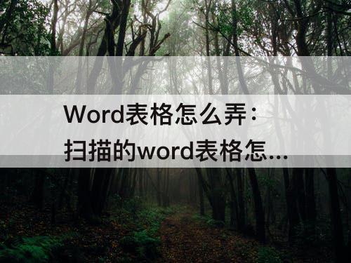 Word表格怎么弄：扫描的word表格怎么弄成文档