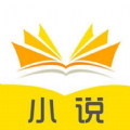 书村小说APP