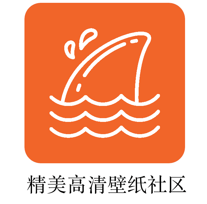 飞鲨壁纸