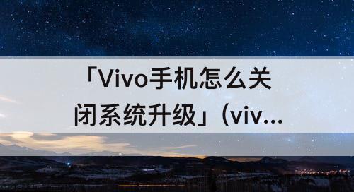 「Vivo手机怎么关闭系统升级」(vivo手机怎么关闭系统升级弹窗)