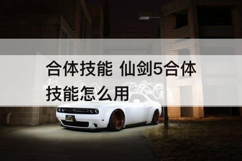 合体技能 仙剑5合体技能怎么用