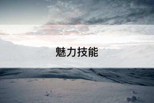 魅力技能