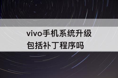 vivo手机系统升级包括补丁程序吗