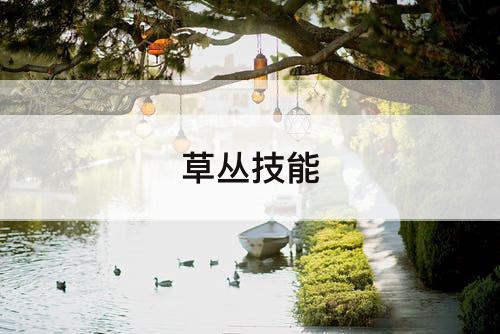 草丛技能