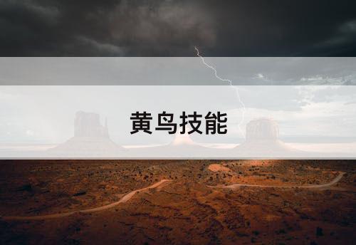 黄鸟技能
