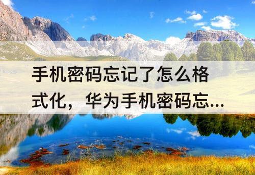 手机密码忘记了怎么格式化，华为手机密码忘记了怎么格式化