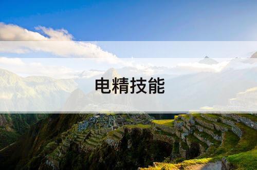电精技能