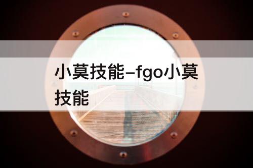 小莫技能-fgo小莫技能