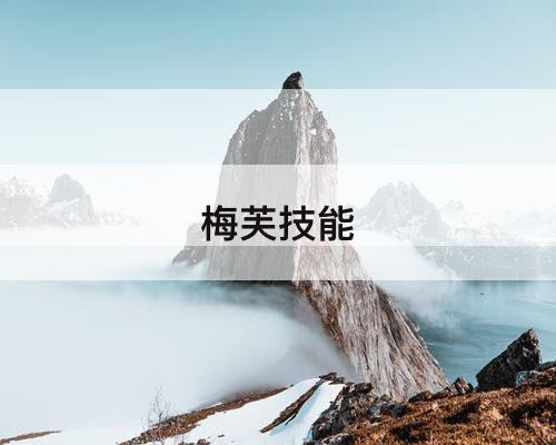 梅芙技能
