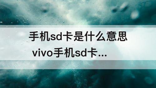 手机sd卡是什么意思 vivo手机sd卡是什么意思