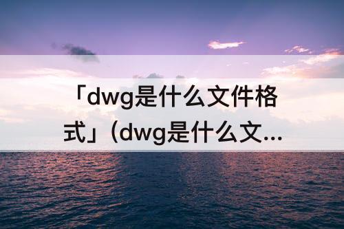 「dwg是什么文件格式」(dwg是什么文件格式转换其他格式)