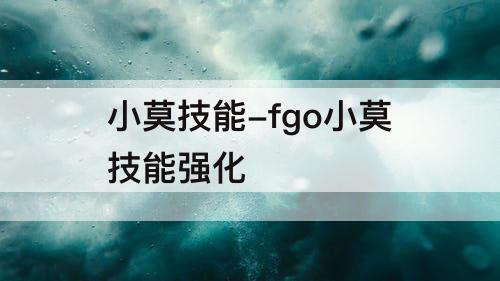 小莫技能-fgo小莫技能强化