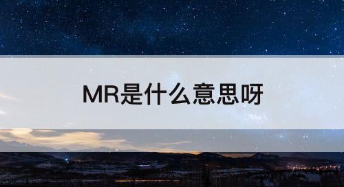 MR是什么意思呀