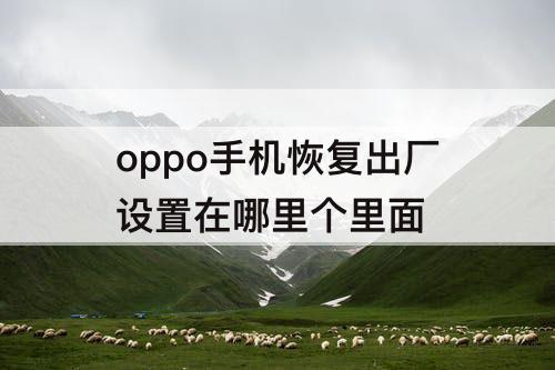 oppo手机恢复出厂设置在哪里个里面