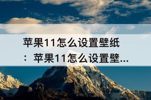 苹果11怎么设置壁纸：苹果11怎么设置壁纸和锁屏壁纸