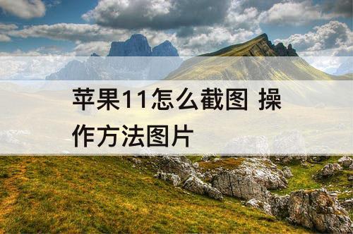苹果11怎么截图 操作方法图片
